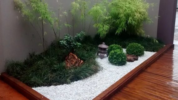 Taman Minimalis Belakang Rumah