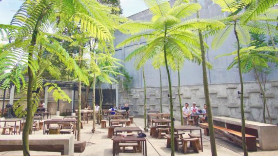 Supplier Pohon Pelindung