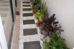 Design Taman Kering Minimalis Belakang Rumah Lahan Panjang