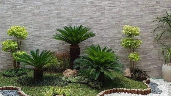 Taman Minimalis Murah