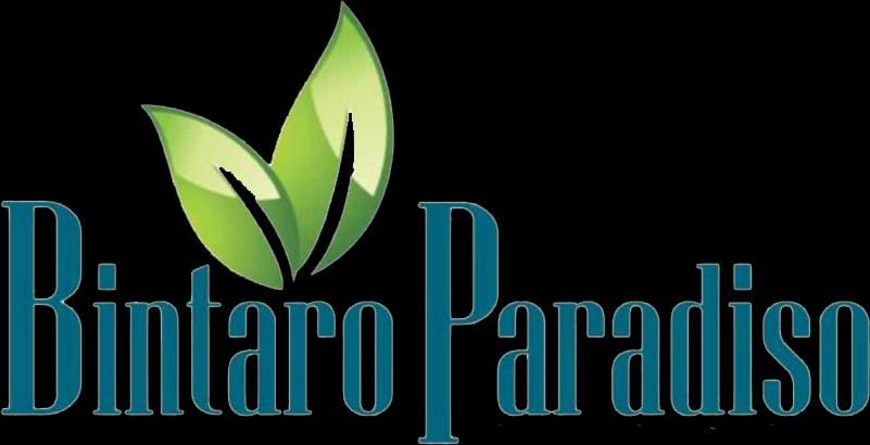 bintaroparadise