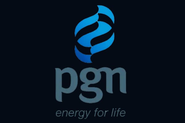 pgn