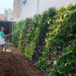 Jasa Taman Vertikal Konsep Taman Dengan Keterbatasan Lahan