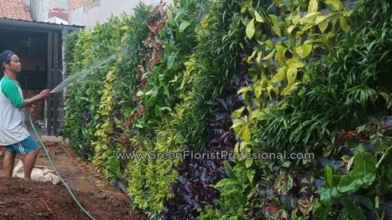 Jasa Taman Vertikal Konsep Taman Dengan Keterbatasan Lahan