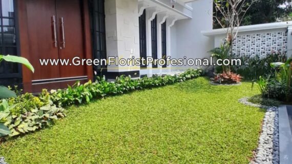 Tukang Taman Terbaik di Jakarta