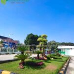 Jasa Taman Murah dengan Berbagai Layanan Menguntungkan